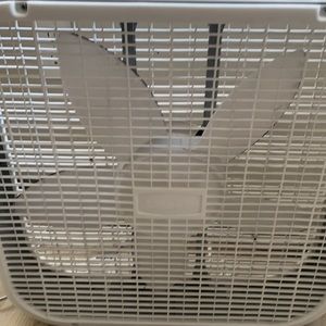 Fan